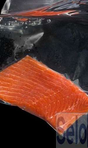 Orçamento de embalagem sous vide Orçamento de embalagem sous vide